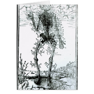 Système vasculaire du corps