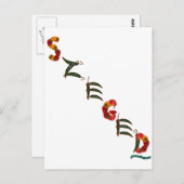 Szeged Chili Peppers Briefkaart (Voorkant / Achterkant)