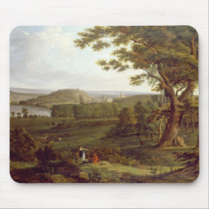 T31507 Uitzicht ten noordwesten van Castle Howard, Muismat