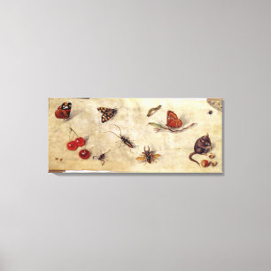 T31567 Een onderzoek naar diverse insecten, fruit  Canvas Afdruk