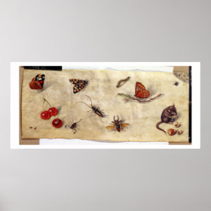 T31567 Een onderzoek naar diverse insecten, fruit Poster