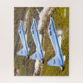 T-38N TALON (16x20 inch) Legpuzzel (Verticaal)