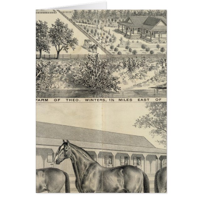 T Ferme d'hiver (Devant)