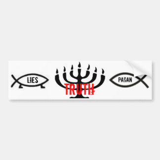 T>L+P BUMPERSTICKER