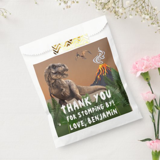T-Rex Dinosaur Birthday Party Dank u Bedankzakje (Gezegeld)