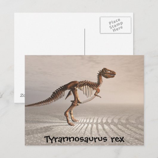 T. rex Dinosaur Skeleton carte postale (Devant / Derrière)