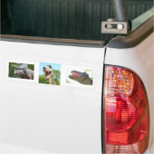 T-Rex Dinosaurs Bumpersticker (Op Truck)