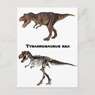 T-rex Flesh-n-Bone, Briefkaart