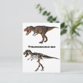 T-rex Flesh-n-Bone, Carte postale (Debout devant)