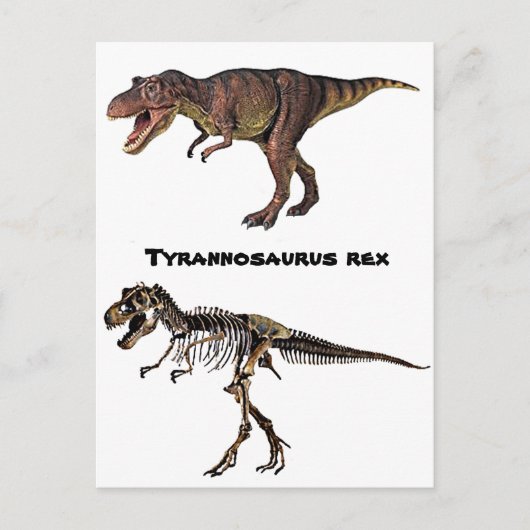 T-rex Flesh-n-Bone, Carte postale (Devant)