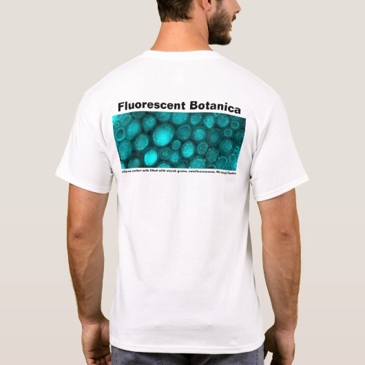 T-shirt (Achterkant)