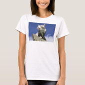 T-SHIRT 野良猫ニャン吉【青空眩しいぜ!】 (Devant)