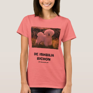 T-SHIRT 01, FRISE DE DE ISHBILIA BICHON