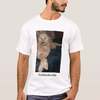 T-shirt 101_1570, Goldendoodle
