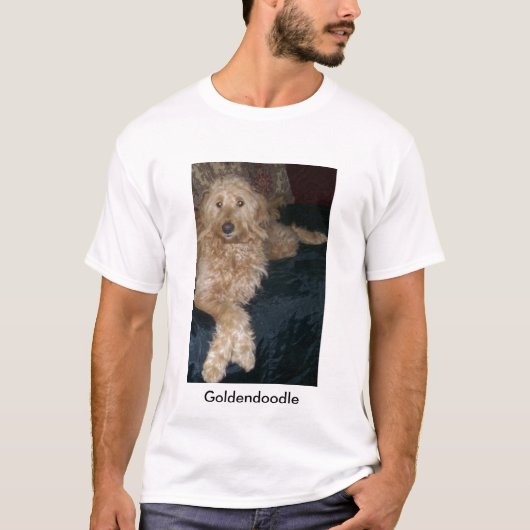 T-shirt 101_1570, Goldendoodle (Devant)