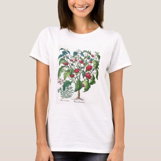 T-shirt 1.Solanum Pomiferum ; 2.Amaracus vulgaris, du (Devant)