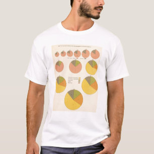 T-shirt 42 population, éléments 1790-1900