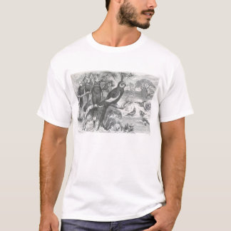 T-shirt A. E. Brehm - Cockatiles