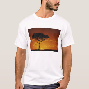T-shirt Acacia tortilis, Acacia à épines tordues,