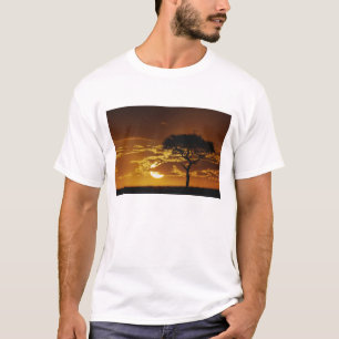 T-shirt Acacia tortilis, Acacia tortilis,