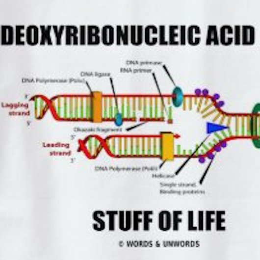 T-shirt Acide Désoxyribonucléique (ADN) Stude De Vie