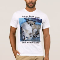 Adoptez à partir de votre refuge animal local