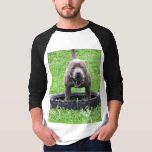 T-shirt Adulte Homme Staffordshire Bull Terrier