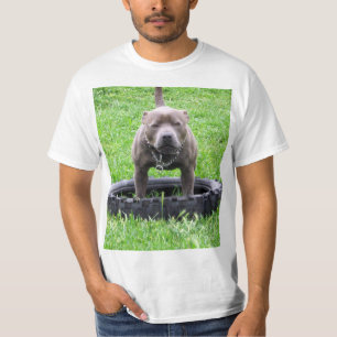 T-shirt Adulte Homme Staffordshire Bull Terrier