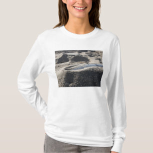 T-shirt Affichage statique d'une coque de commande
