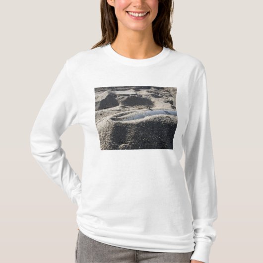 T-shirt Affichage statique d'une coque de commande (Devant)