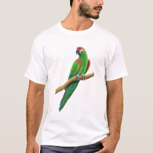 T-shirt affronté rouge mis en danger de perroquet
