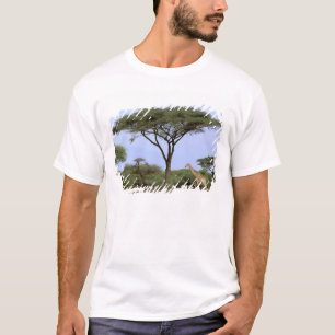 T-shirt Afrique, Botswana, Delta de l'Okavango. Sud