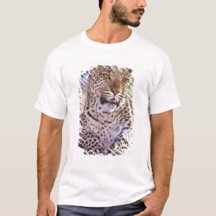 T-shirt Afrique, Botswana, Delta de l'Okvango, léopard sau