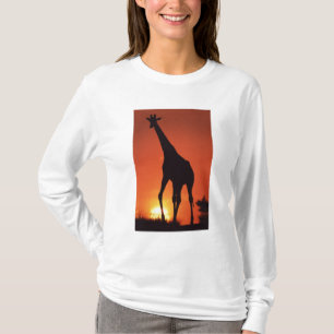 T-shirt Afrique du Sud, Kruger NP.  Girafe (Giraffa