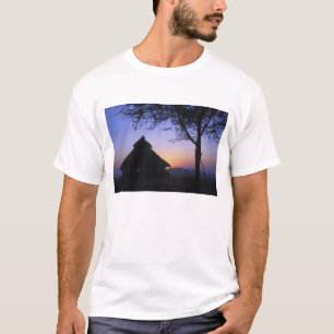 T-shirt Afrique, Éthiopie, région du fleuve Omo, Coucher d