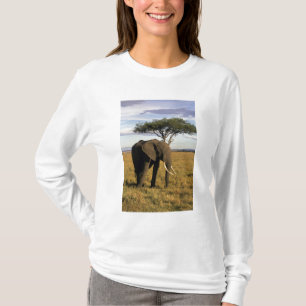 T-shirt Afrique, Kenya, Maasai Mara. Un éléphant dans le