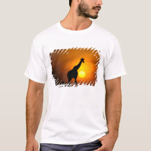 T-shirt Afrique, Kenya, Masai Mara. Girafe (Giraffa