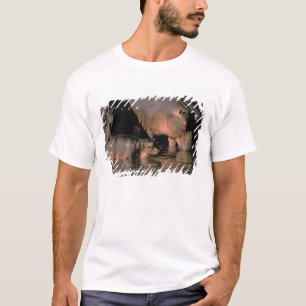 T-shirt Afrique, Kenya, Masai Mara. Hippopotames communs