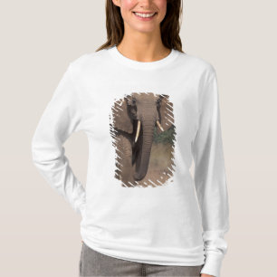 T-shirt Afrique, Kenya, Nanyuki, Mpala. Éléphant d'Afrique