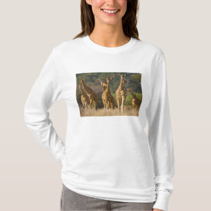 T-shirt Afrique. Kenya. Troupeau de Giraffes Réticulées