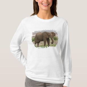 T-shirt Afrique. Tanzanie. Éléphant au parc national du la