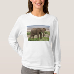 T-shirt Afrique. Tanzanie. Éléphant au parc national du la