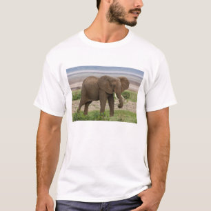T-shirt Afrique. Tanzanie. Éléphant au parc national du la