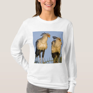 T-shirt Afrique. Tanzanie. Oiseaux secrétaires à Ndutu