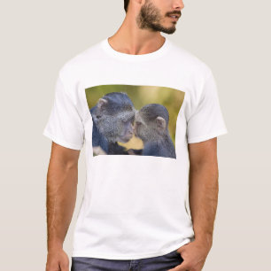 T-shirt Afrique. Tanzanie. Singe bleu mère avec jeune