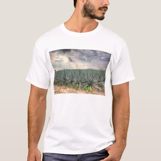 T-shirt Agave bleu (Devant)