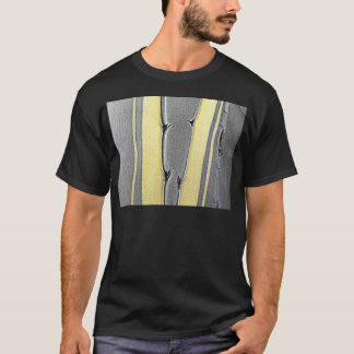T-shirt Agave de Natur par AnBe