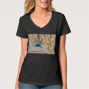 T-shirt Agneau commun