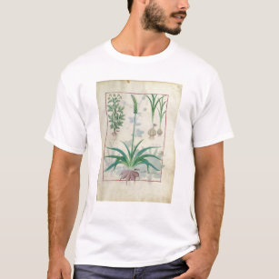 T-shirt Ail et d'autres plantes