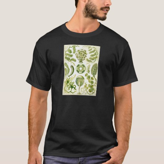 T-shirt Algue et algues de Siphoneae d'Ernst Haeckel (Devant)